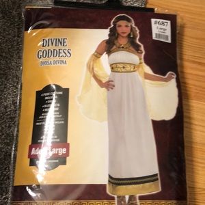 New in bag Halloween costume-  DIVINE GODDESS size adult woman- Large